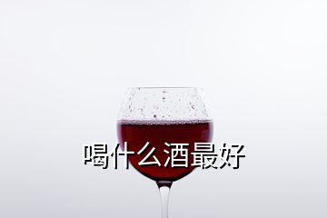 喝什么酒最好