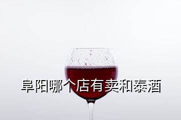 阜阳哪个店有卖和泰酒