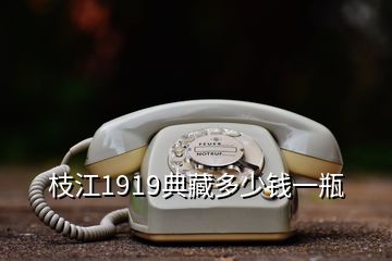 枝江1919典藏多少钱一瓶