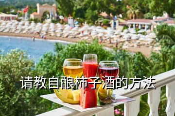 请教自酿柿子酒的方法