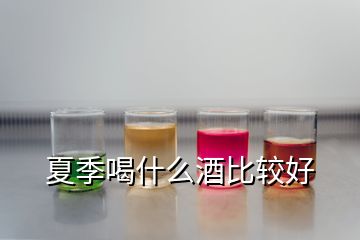 夏季喝什么酒比较好