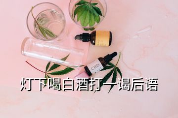 灯下喝白酒打一谒后语