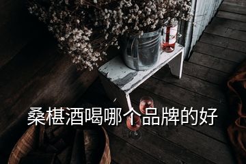 桑椹酒喝哪个品牌的好