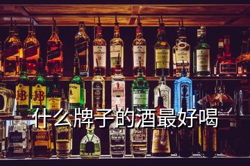 什么牌子的酒最好喝