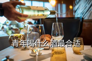 青年喝什么酒最合适