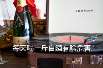 每天喝一斤白酒有啥危害