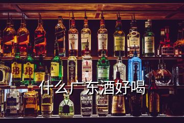 什么广东酒好喝