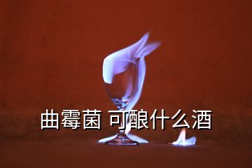 曲霉菌 可酿什么酒