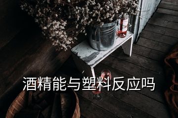 酒精能与塑料反应吗