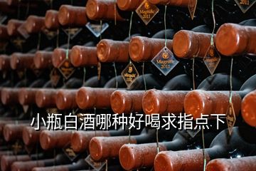 小瓶白酒哪种好喝求指点下