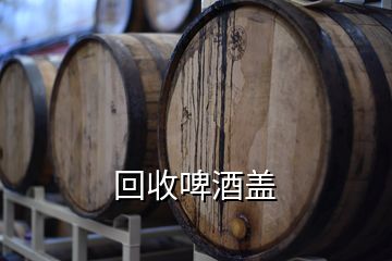 回收啤酒盖