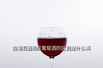 白葡萄酒和红葡萄酒的区别是什么啊