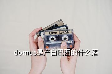 domus是产自巴西的什么酒