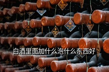 白酒里面加什么泡什么东西好