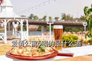 爱情公寓5喝的是什么酒