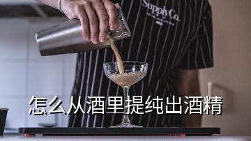 怎么从酒里提纯出酒精