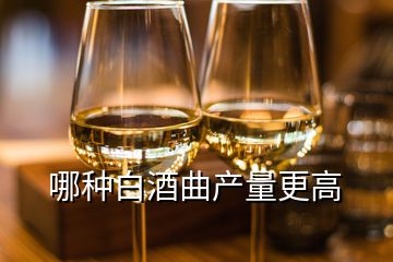 哪种白酒曲产量更高