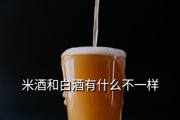 米酒和白酒有什么不一样