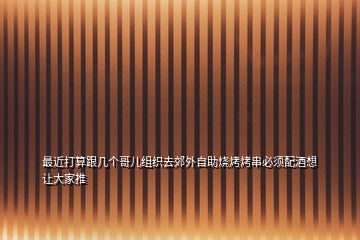 最近打算跟几个哥儿组织去郊外自助烧烤烤串必须配酒想让大家推