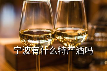宁波有什么特产酒吗