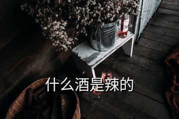 什么酒是辣的