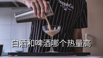 白酒和啤酒哪个热量高