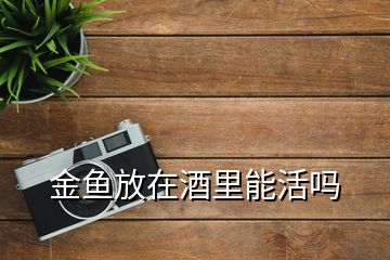 金鱼放在酒里能活吗