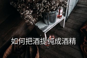 如何把酒提纯成酒精