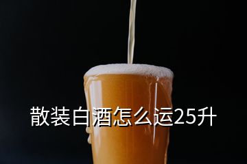 散装白酒怎么运25升