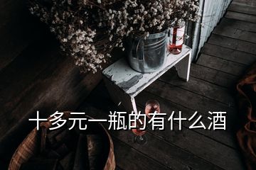 十多元一瓶的有什么酒