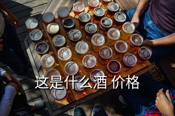 这是什么酒 价格