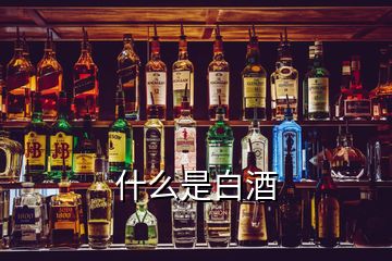 什么是白酒