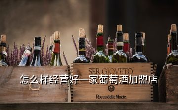 怎么样经营好一家葡萄酒加盟店