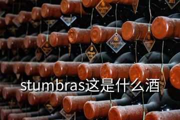 stumbras这是什么酒