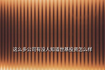 这么多公司有没人知道世基投资怎么样