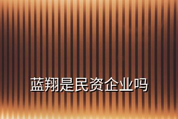 蓝翔是民资企业吗