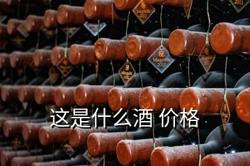 这是什么酒 价格