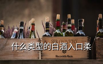 什么类型的白酒入口柔