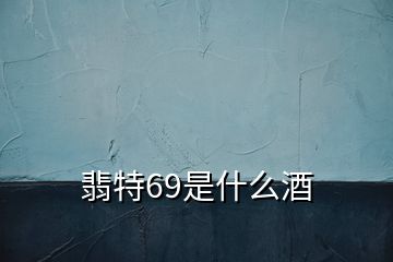 翡特69是什么酒