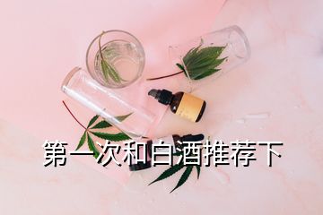 第一次和白酒推荐下