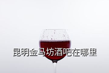 昆明金马坊酒吧在哪里