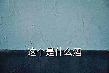 这个是什么酒