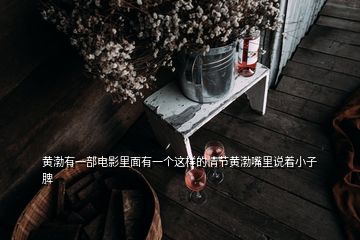 黄渤有一部电影里面有一个这样的情节黄渤嘴里说着小子脾