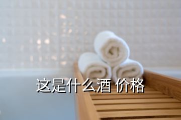 这是什么酒 价格