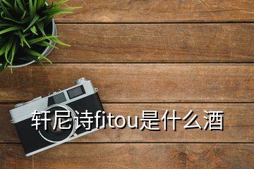 轩尼诗fitou是什么酒