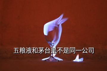 五粮液和茅台是不是同一公司