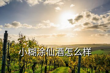 小糊涂仙酒怎么样