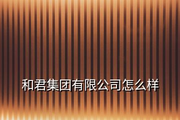 和君集团有限公司怎么样