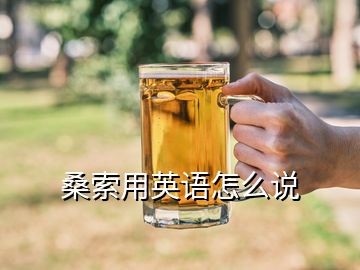 桑索用英语怎么说