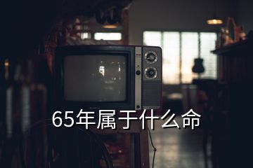 65年属于什么命